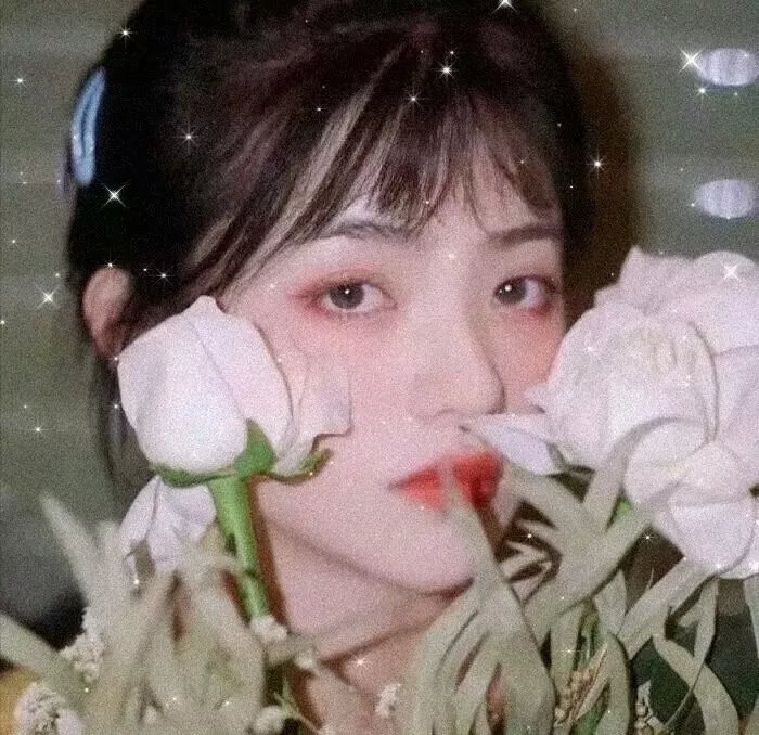 当总统遇见皇上